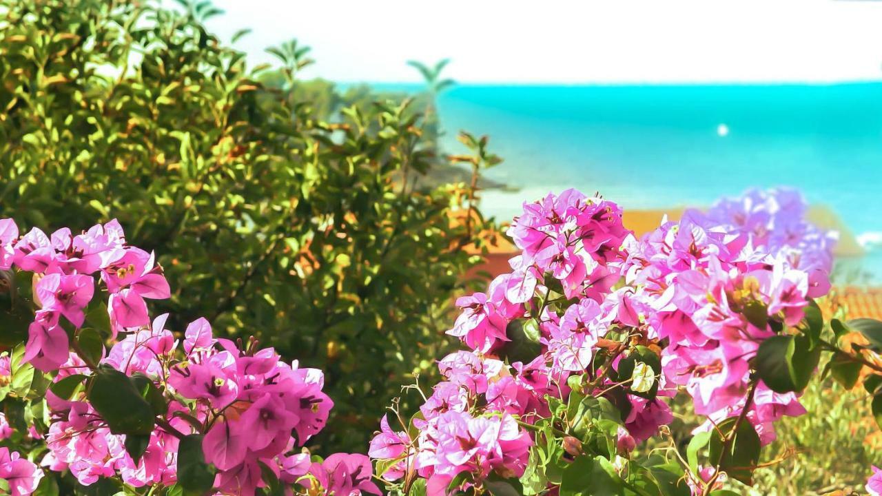 Adria Arba Apartments Rab Town Bagian luar foto
