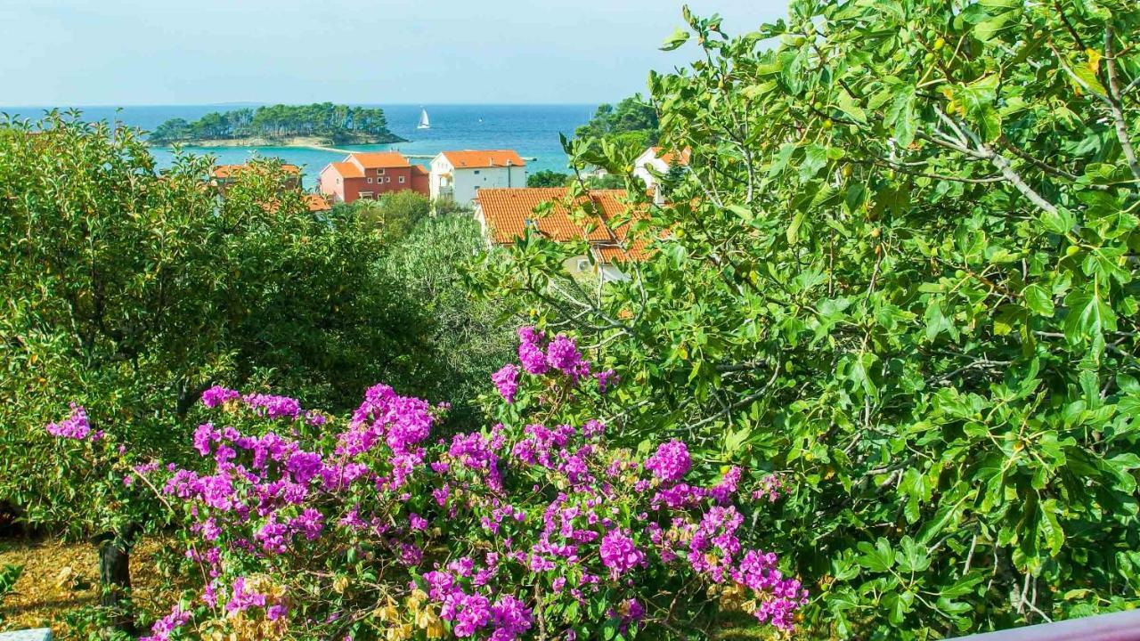 Adria Arba Apartments Rab Town Bagian luar foto